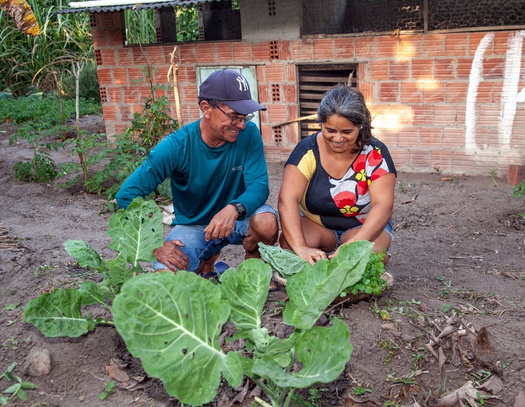 Família agricultora vinculada à produção agroecológica